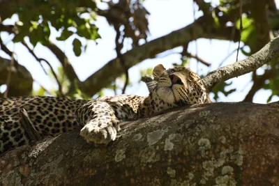 DSC_3987 (Large).JPG